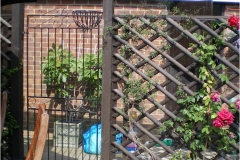 Garden design