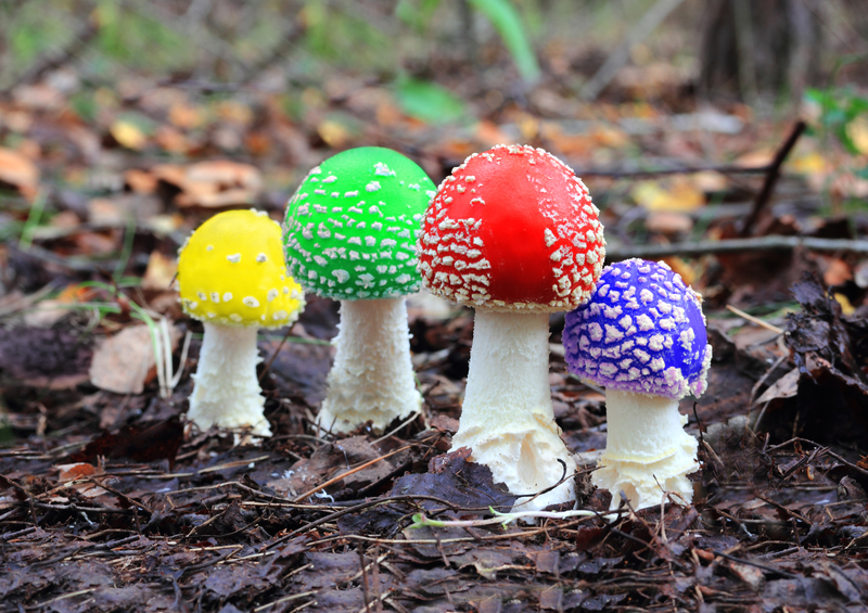 Multi-coloured Mushrooms