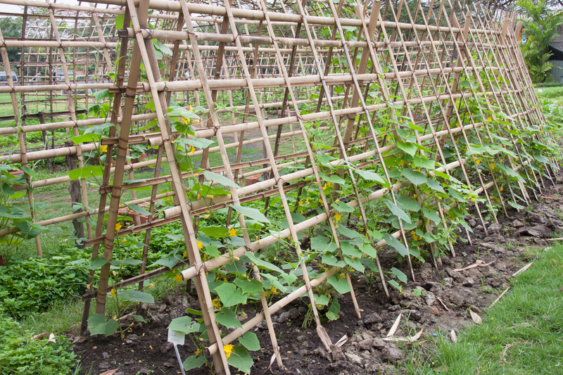 plant and vegetable climbers