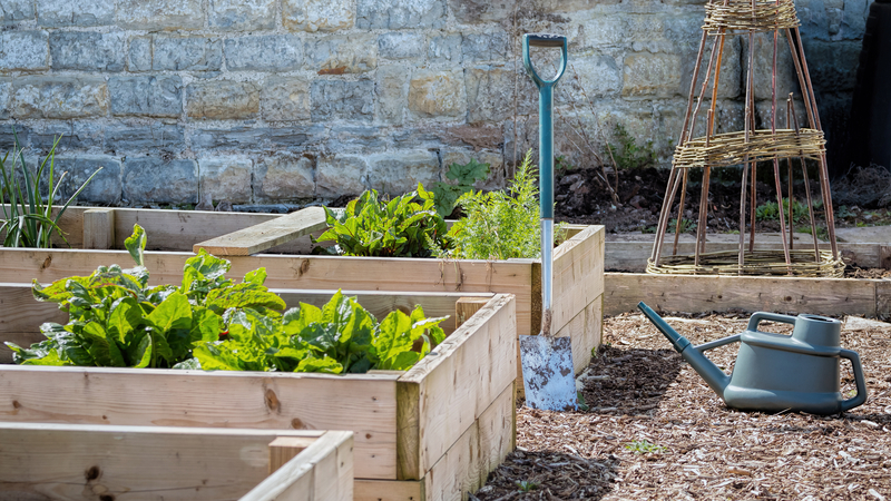 raised bed gardens