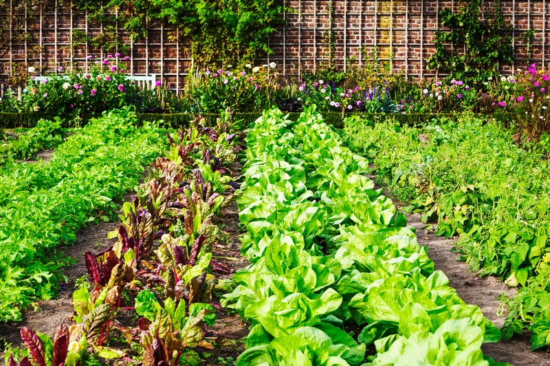 Growing vegetables in raised beds | Vegetable garden tips