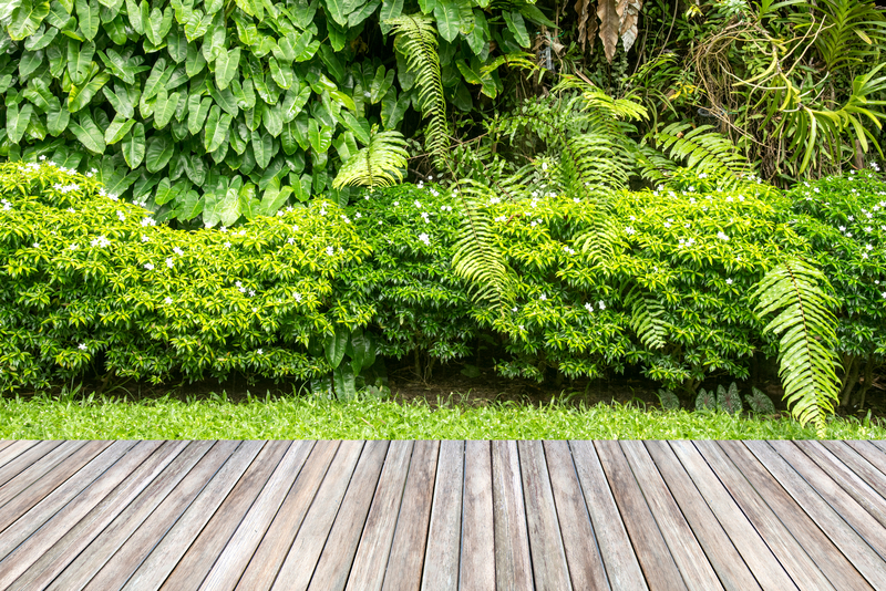 Cleaning decking