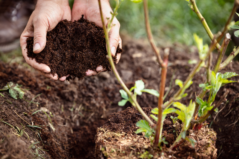 Garden Mulch