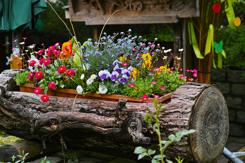 flowers in log plant pot 