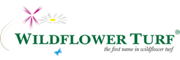 Wildflower Logo