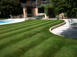 lines in lawn with pool