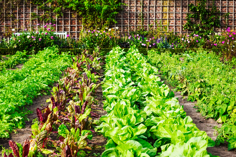 vegetable garden