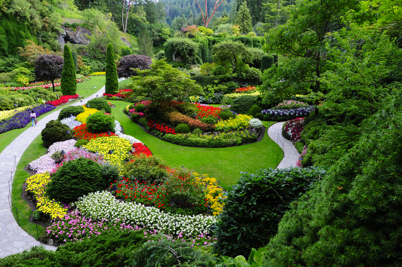 A beautiful garden with amazing flowers and plants