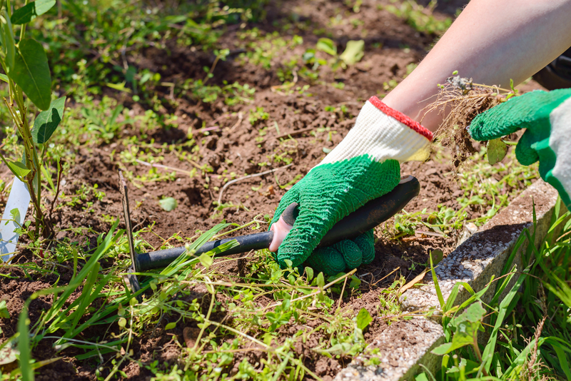 Garden Maintenance